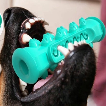 Brinquedo Mordedor para Cães