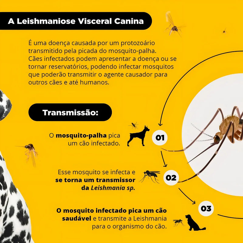 Coleira Repelente de Insetos para Cães