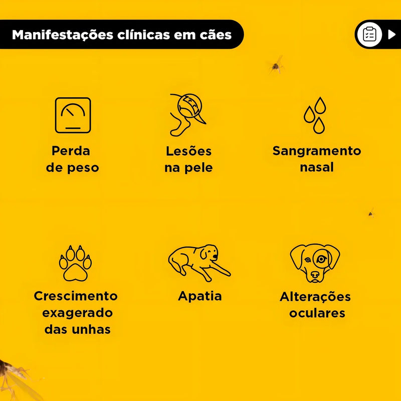 Coleira Repelente de Insetos para Cães